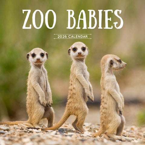 Paper Pocket Zoo Babies 2026 Calendar