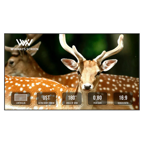 Winways UST Throw 120'' ALR Fixed Frame Lenticular Screen