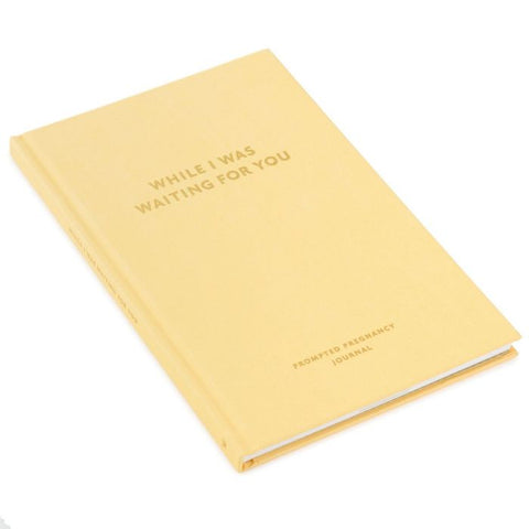 While I Was Waiting Pregnancy Journal