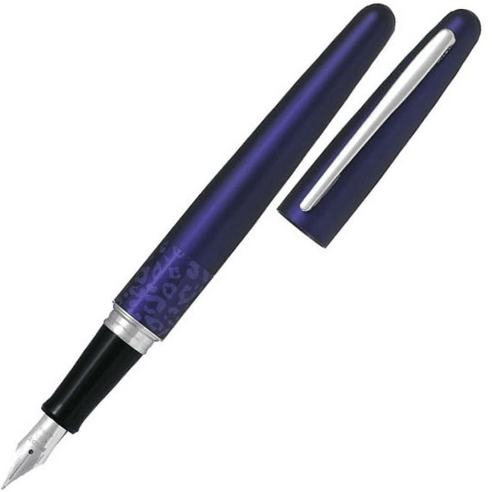 Delta DV Original Mid-Size Fountain Pen - Primary Manipulation 4.5 LE