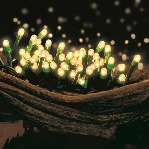 Lexi Lighting 80 Warm White LED Light Chain with Green Cable