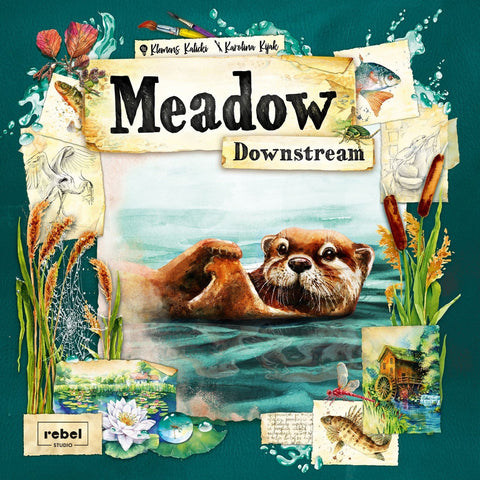 Asmodee Meadow Downstream Expansion Game