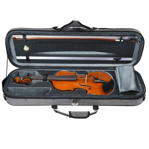 Axiom Symphony Series 4/4 Professional Violin Outfit
