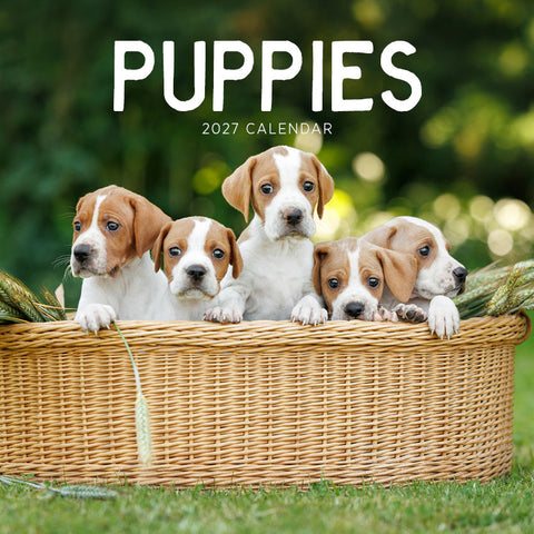 Puppies Calendar 2027