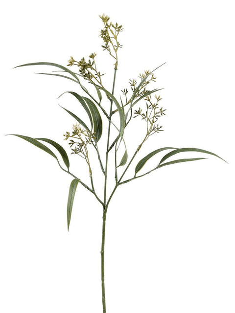 Christmas Warehouse - STEM2315 Green Eucalyptus Albens With Buds Long Christmas Stem | 55cm Green with Cream