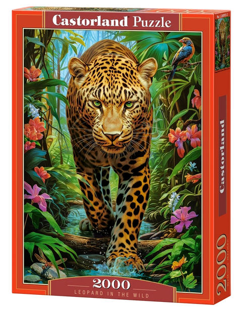 Castorland 2000-Pieces Leopard In The Wild Puzzle