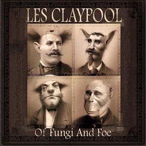 Of Fungi And Foe