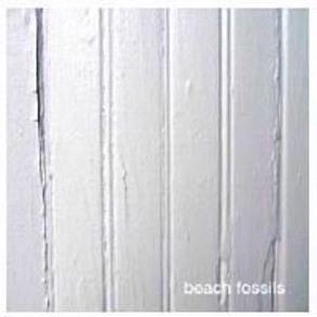 Beach Fossils