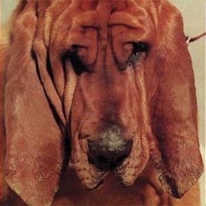 Goodbye Bread product image