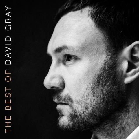 Best Of David Gray, The