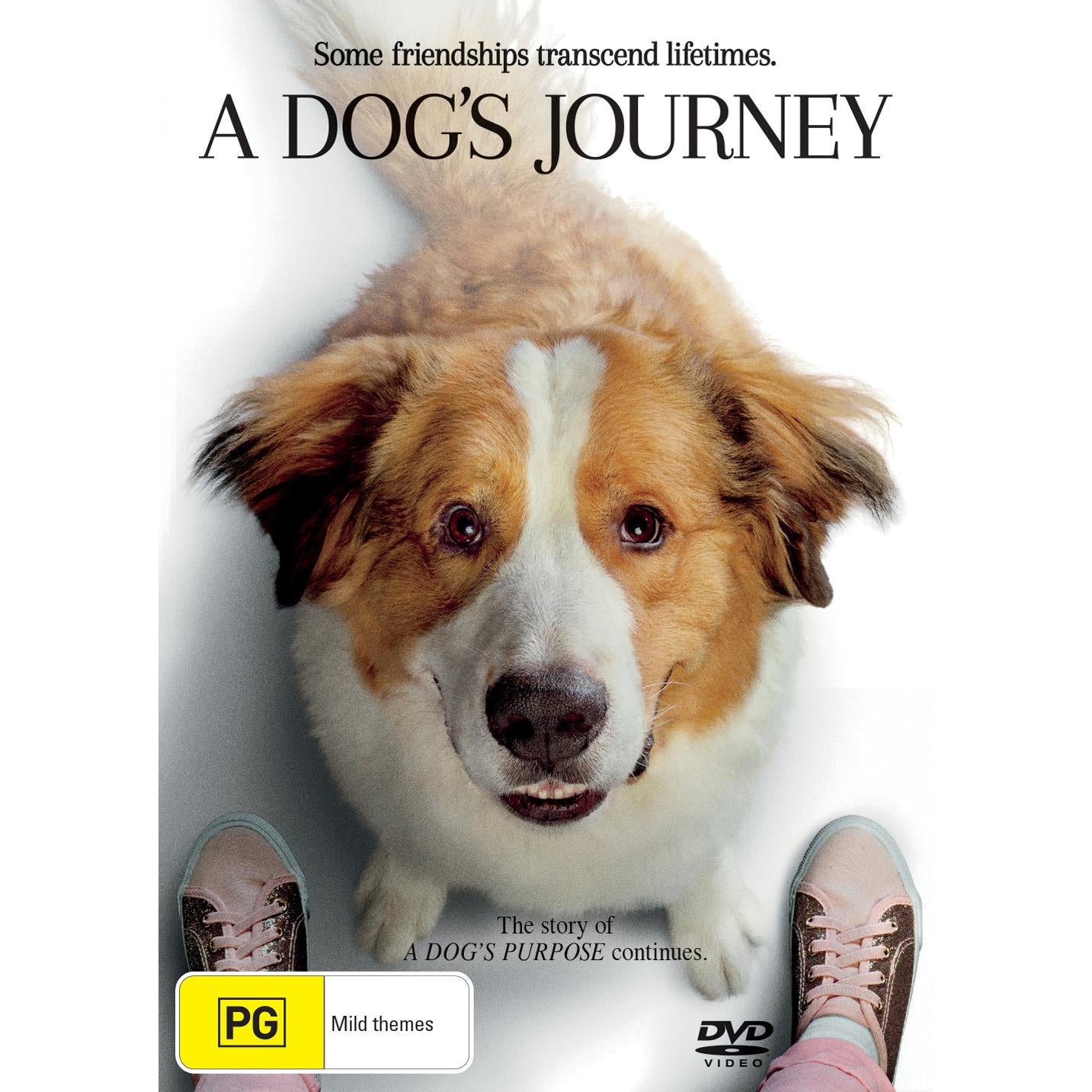 Dog's Journey, A JB Hi-Fi