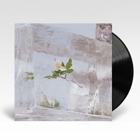 Windflowers (Vinyl)