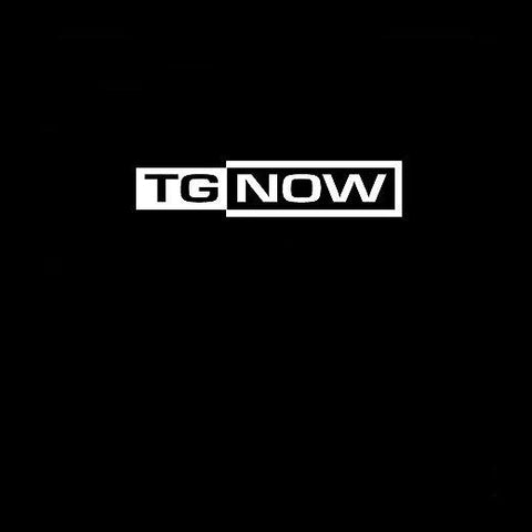 Part Two: The Endless Not / TG Now (Reissue)