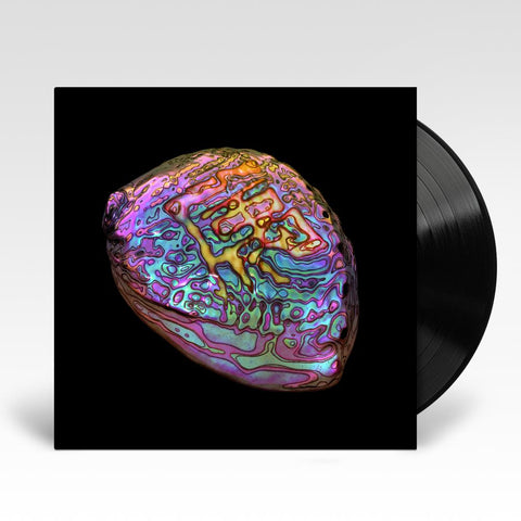 Belonging (Vinyl)