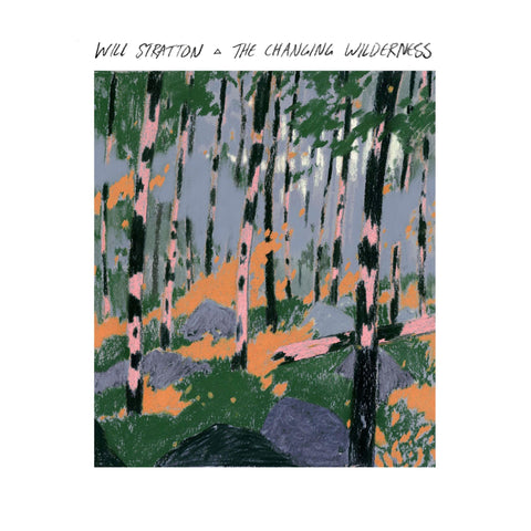 Changing Wilderness, The