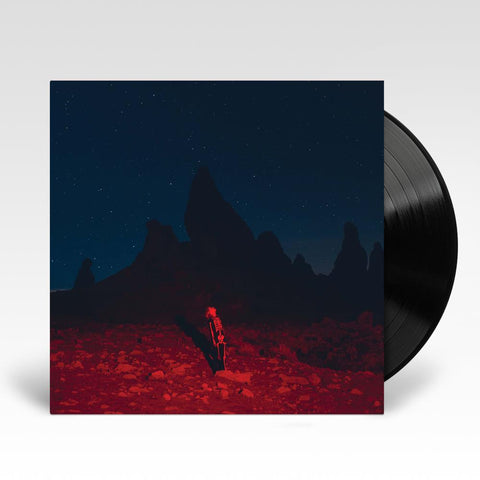 Punisher (Vinyl)