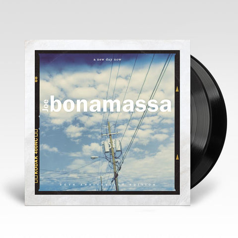 A New Day Now (Vinyl)