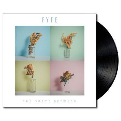 Space Between, The (Vinyl)