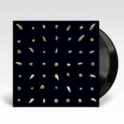 Visions Of Bodies Being Burned (Vinyl)