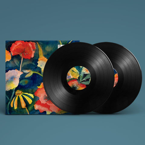 Songs & Instrumentals (Vinyl)