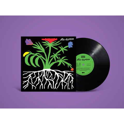 Afterlife (Vinyl)