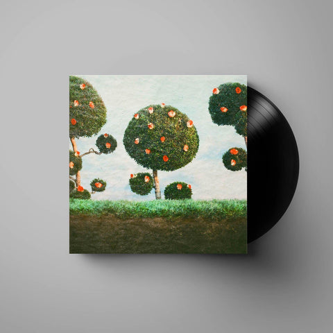 Painting The Roses (Vinyl)