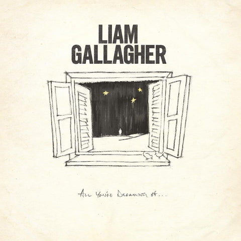 All Youre Dreaming Of (12IN Vinyl)
