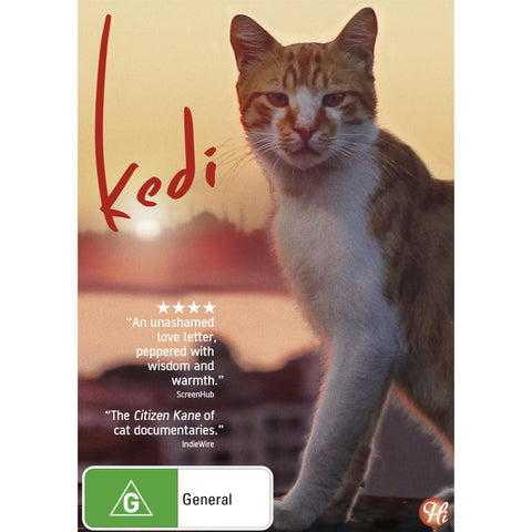Kedi