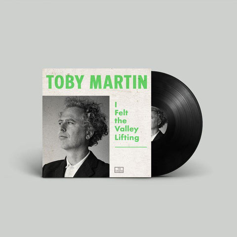 I Felt The Valley Lifting (Vinyl)