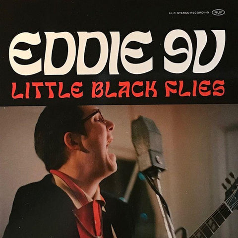 Little Black Flies