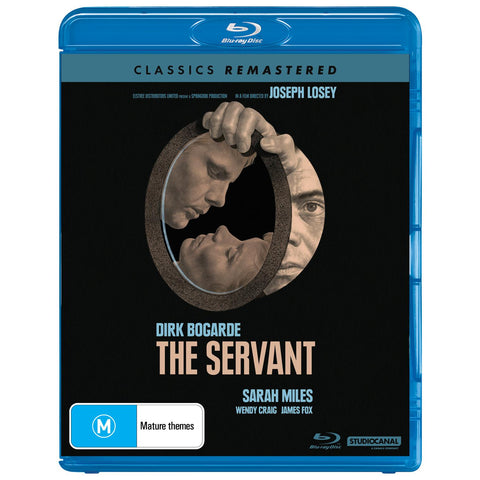Servant, The