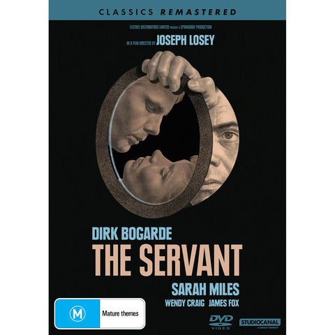 Servant, The