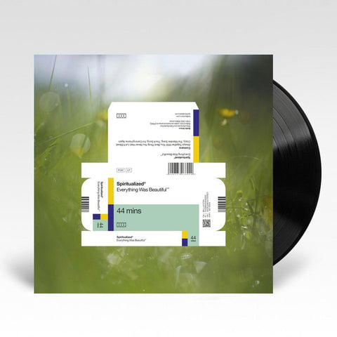 Everything Was Beautiful (Vinyl)