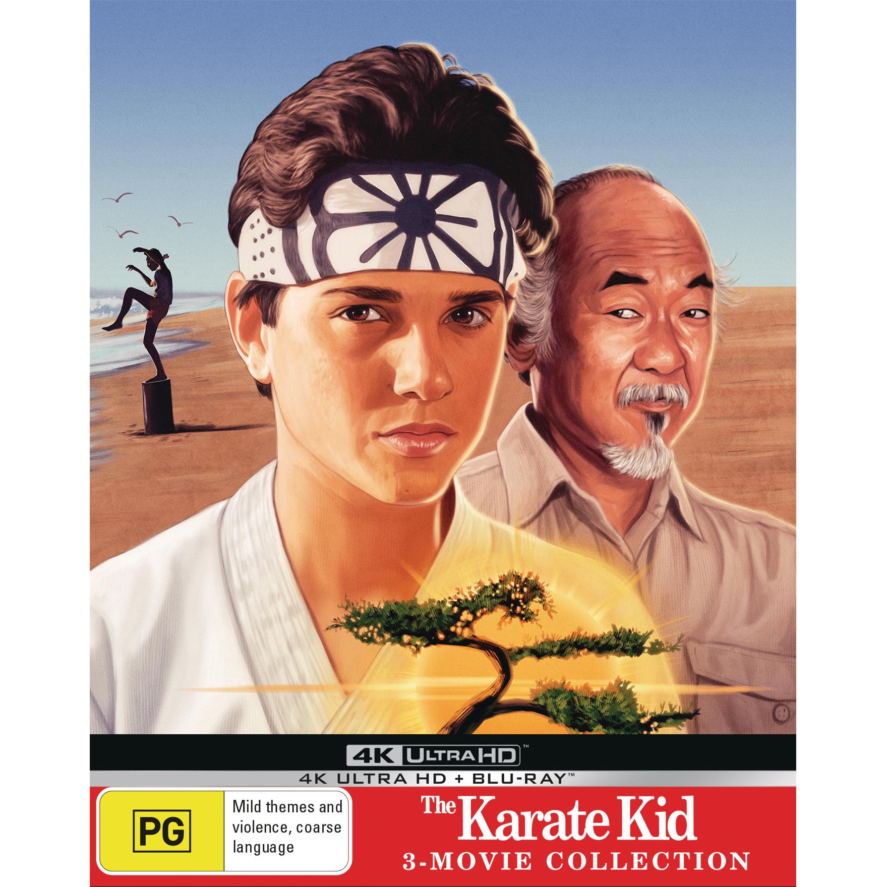 Poster The Karate Kid - Classic, Wall Art, Gifts & Merchandise