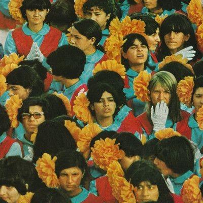 Alvvays