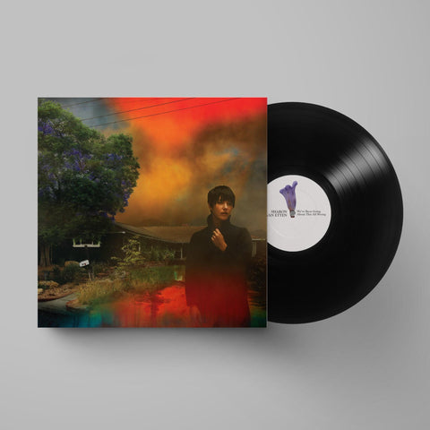 We've Been Going About This All Wrong (Vinyl)