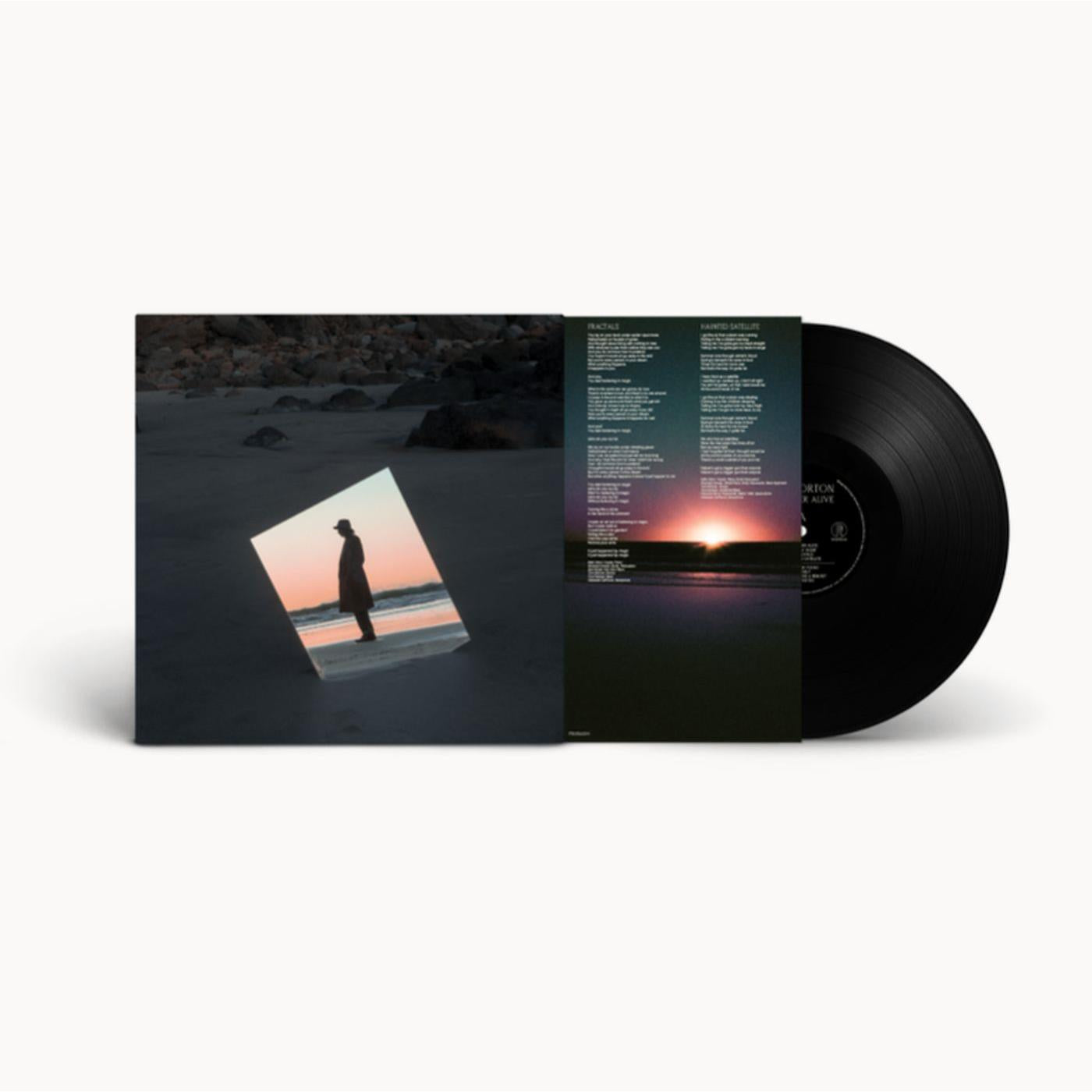 Weather Alive (Vinyl) - JB Hi-Fi