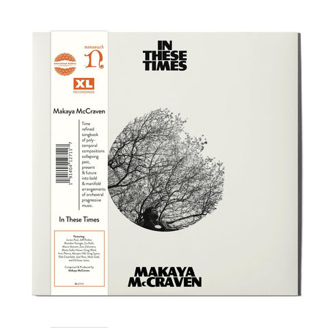 In These Times (Vinyl)