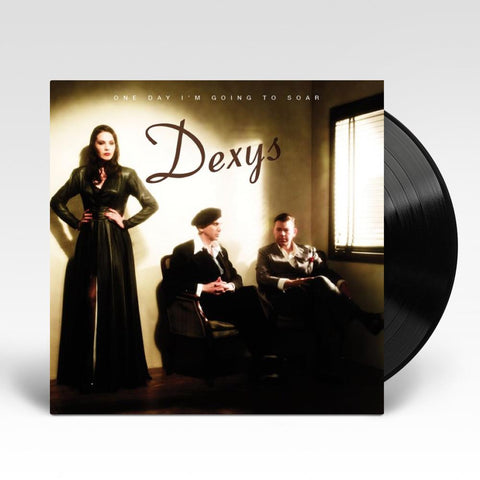 One Day I'm Going To Soar (Vinyl) (Reissue)