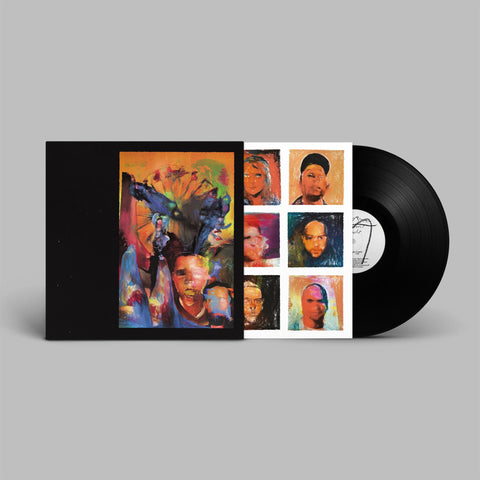 An Inbuilt Fault (Vinyl)
