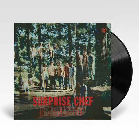 Friendship EP (12in Vinyl)