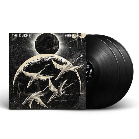 High Flyin' (Vinyl)