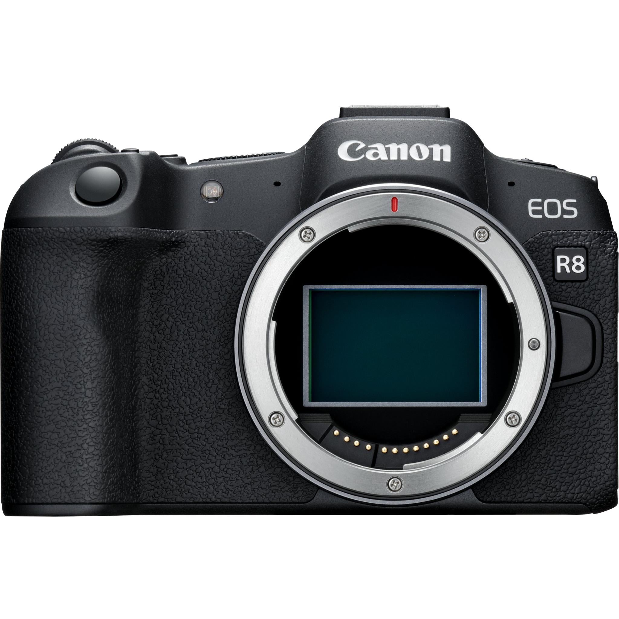 Frame Mirrorless Canon Camera For Beginners Cheap Best Mirrorless