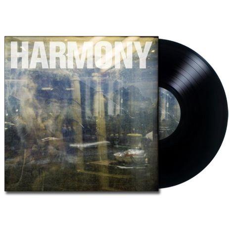 Double Negative (Vinyl)
