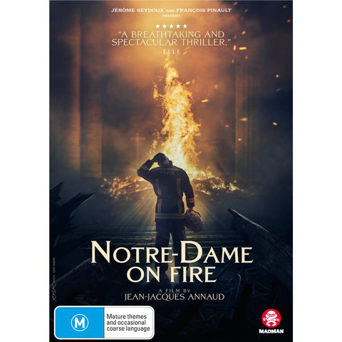 Notre Dame On Fire (French)