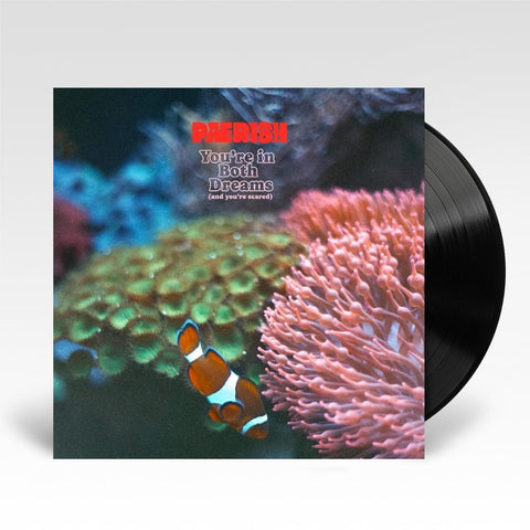 You're In Both Dreams (and you're scared) (Vinyl)