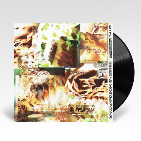 Toward A Never Ending New Beginning (Vinyl)