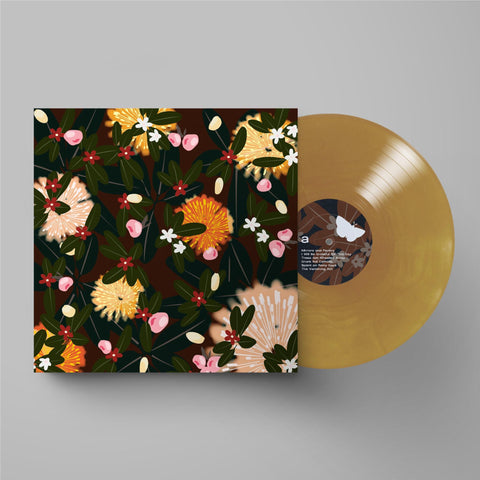 Noise Floor (Rarities: 1998-2005) (Champagne Wave Vinyl)