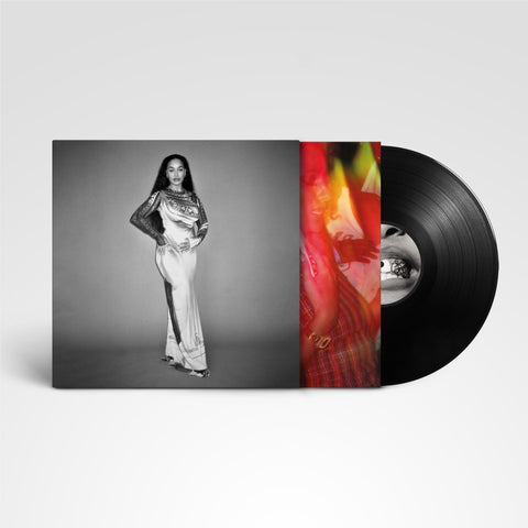 Falling Or Flying (VINYL)