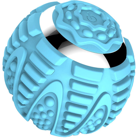 Wellcare EVA Wireless Vibration Ball (Blue)